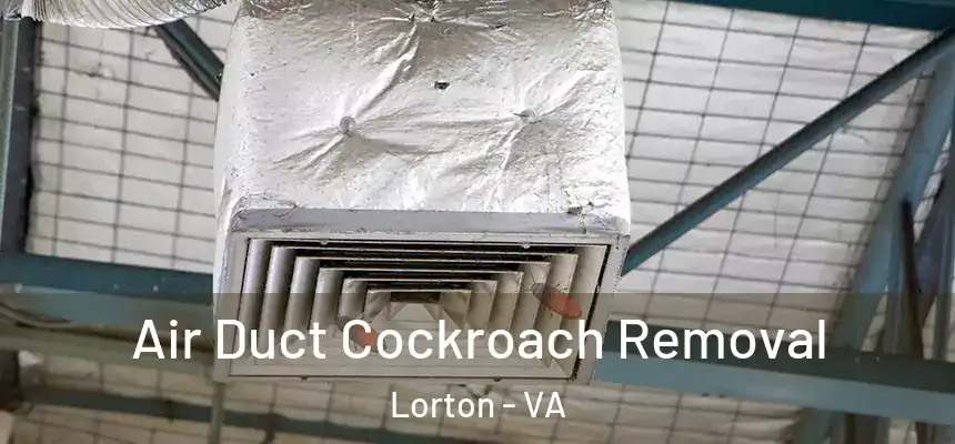  Air Duct Cockroach Removal Lorton - VA