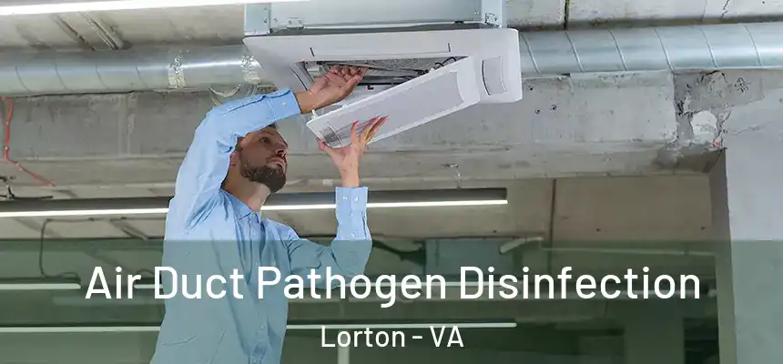  Air Duct Pathogen Disinfection Lorton - VA