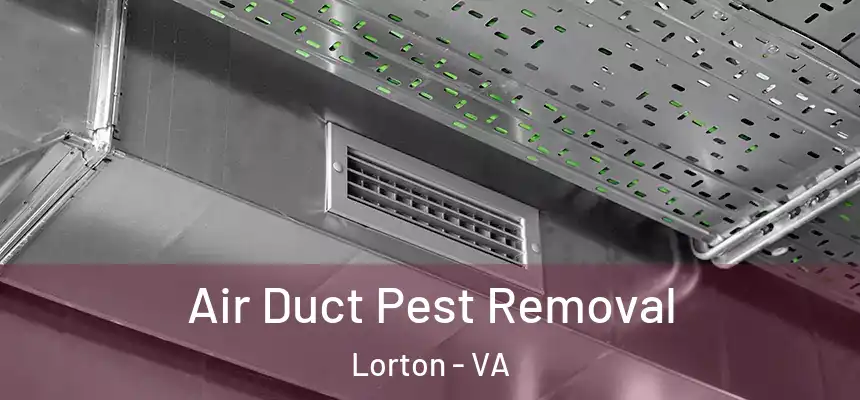  Air Duct Pest Removal Lorton - VA