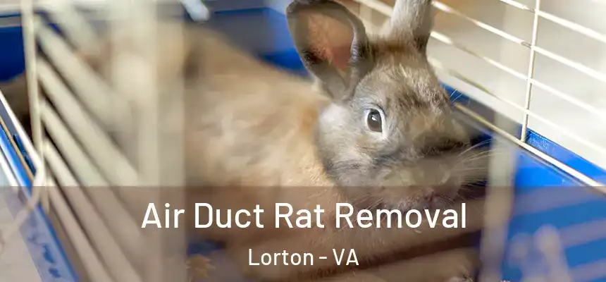  Air Duct Rat Removal Lorton - VA