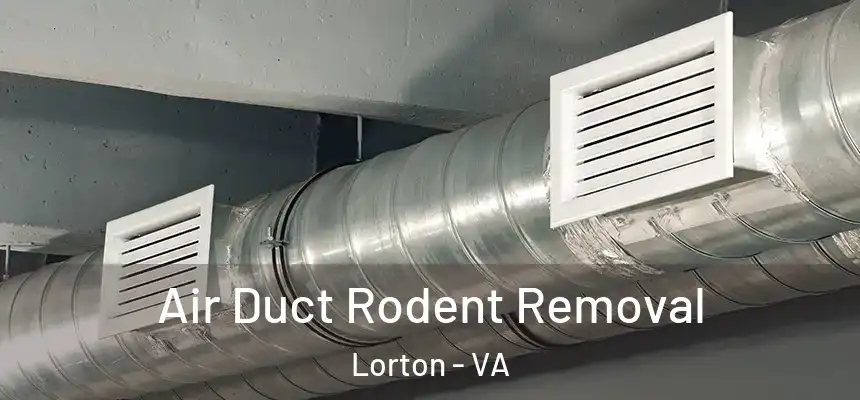  Air Duct Rodent Removal Lorton - VA