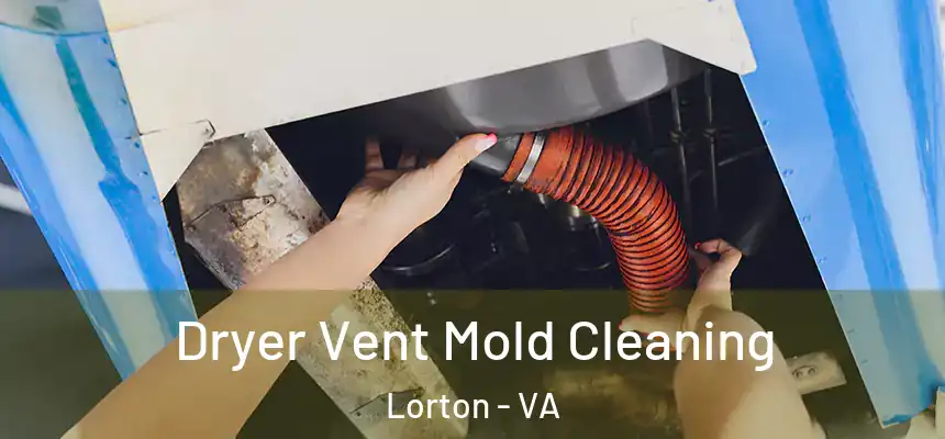  Dryer Vent Mold Cleaning Lorton - VA