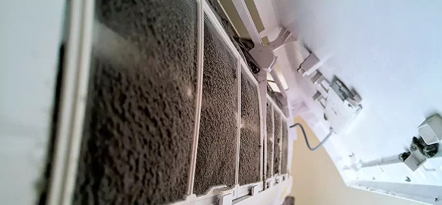 Preventive Air Duct Bacteria Removal in Lorton