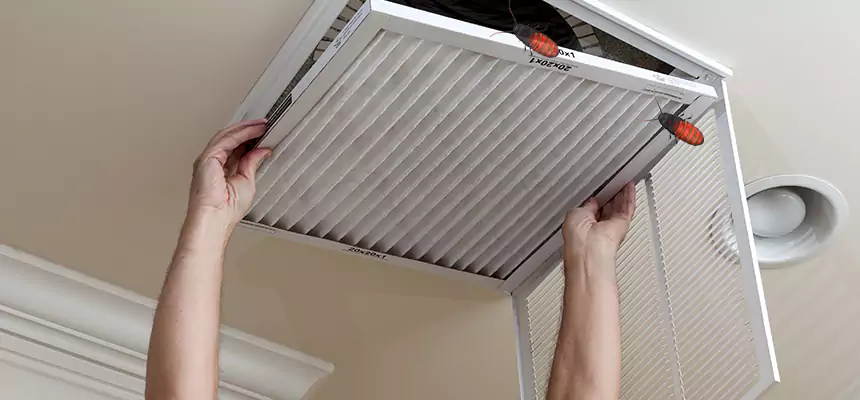 Preventive Cockroach-Proofing for Ducts in Lorton
