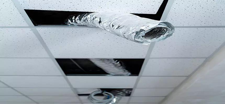 Affordable HVAC Sanitizing After Pest Removal in Lorton