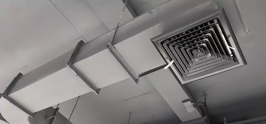 Restorative Allergy Relief Vent Cleaning – Coil, Blower & Housing Detail in Lorton