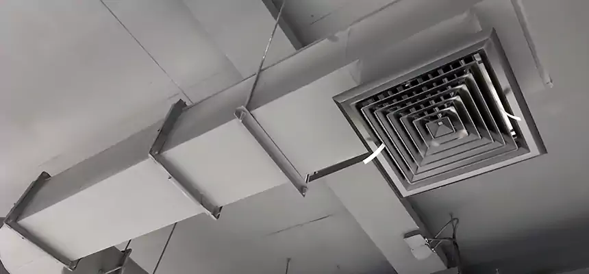 Our Pest Removal From Ducts Services in Lorton, VA