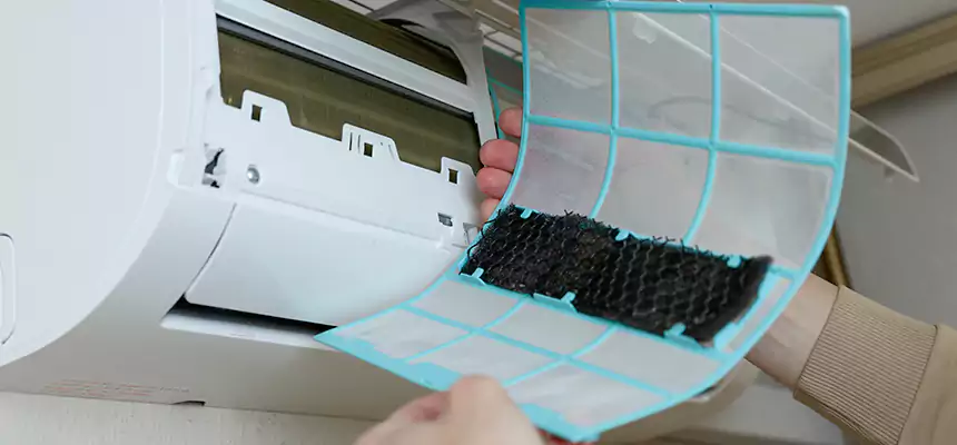 Gentle Ductwork Odor-Control Pet Dander Duct Cleaning in Lorton, VA