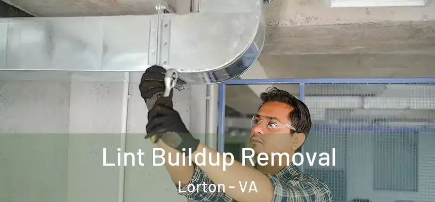  Lint Buildup Removal Lorton - VA