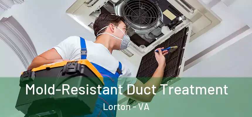  Mold-Resistant Duct Treatment Lorton - VA