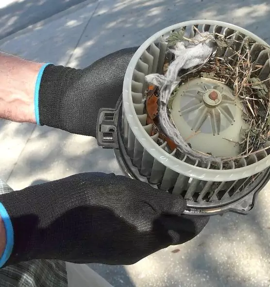 About Air Duct Mice Removal in Lorton, VA