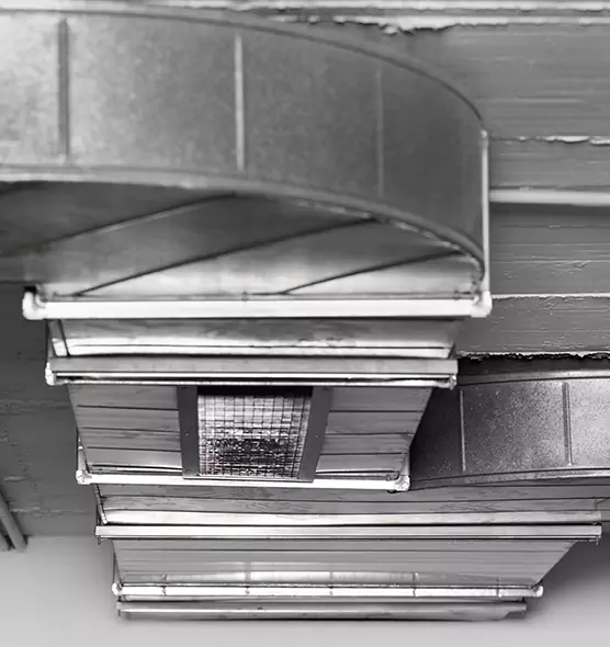 Professional Air Duct Pest Removal in Lorton, VA