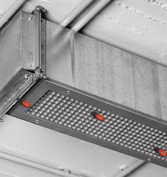 Affordable Insect Removal from Air Ducts in Lorton, VA