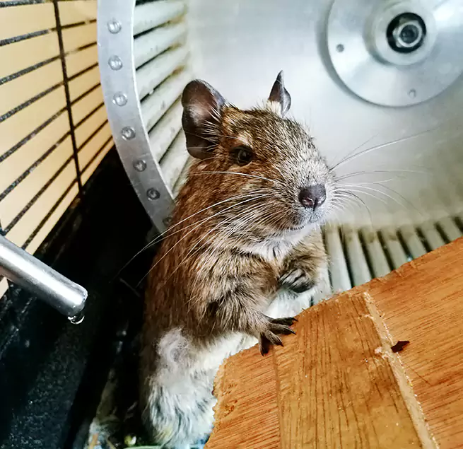 Why Homeowners & Businesses Trust Us Lorton, VA