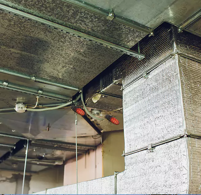 Why Homeowners & Businesses Trust Us Lorton, VA?